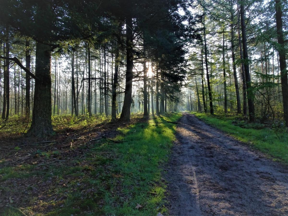Veluwe Park Reewold Chalet Vision Putten Eksteriør bilde
